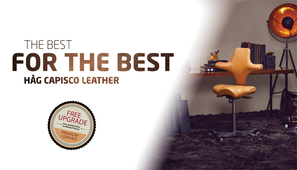 The Best for the Best - HAG Capisco Leather