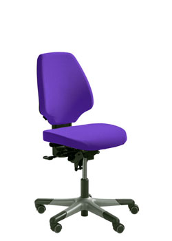 RH Activ 220 Office Chair