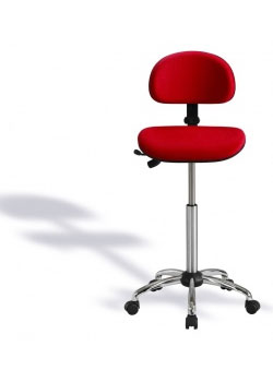 RH 4521 Limpan Stool with Back Rest