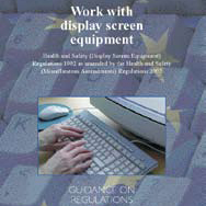 Work with DSE - Guidance on Regulations