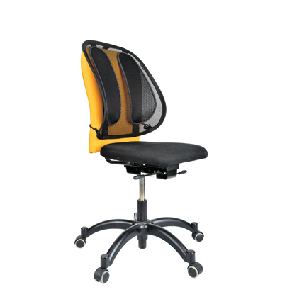 Fellowes lumbar on sale support